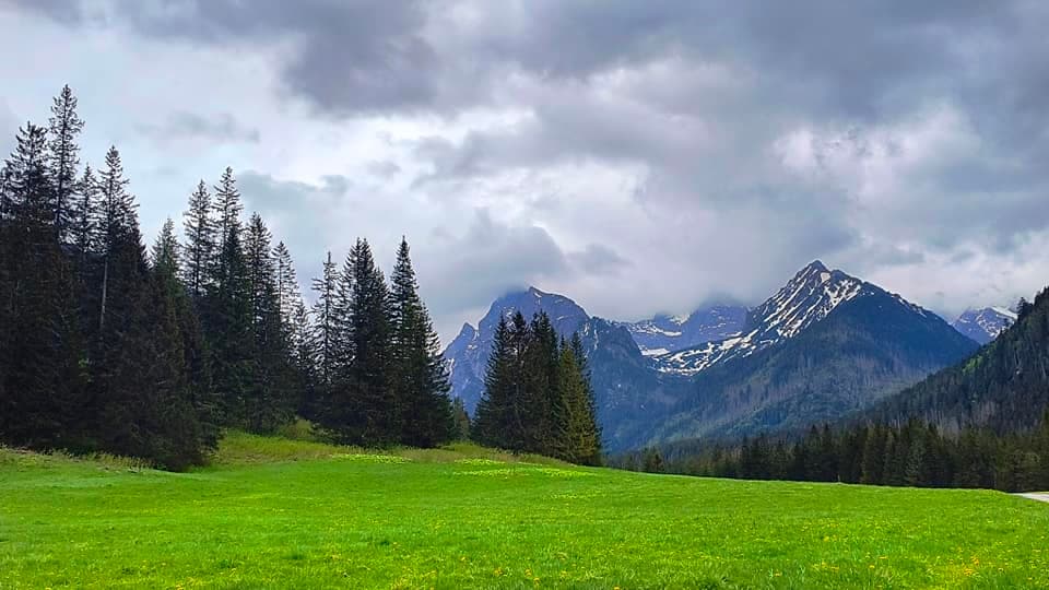 Bude Turistika v Tatrách pre psíčkarov dostupnejšia?