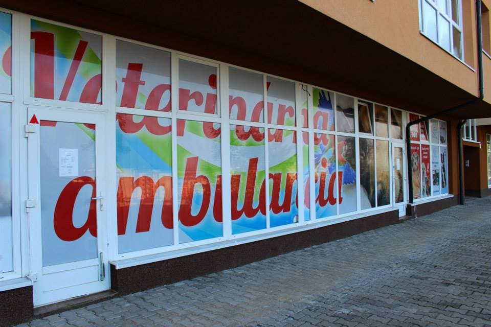 Tieto veterinárne kliniky ošetria vášho miláčika aj počas víkendov