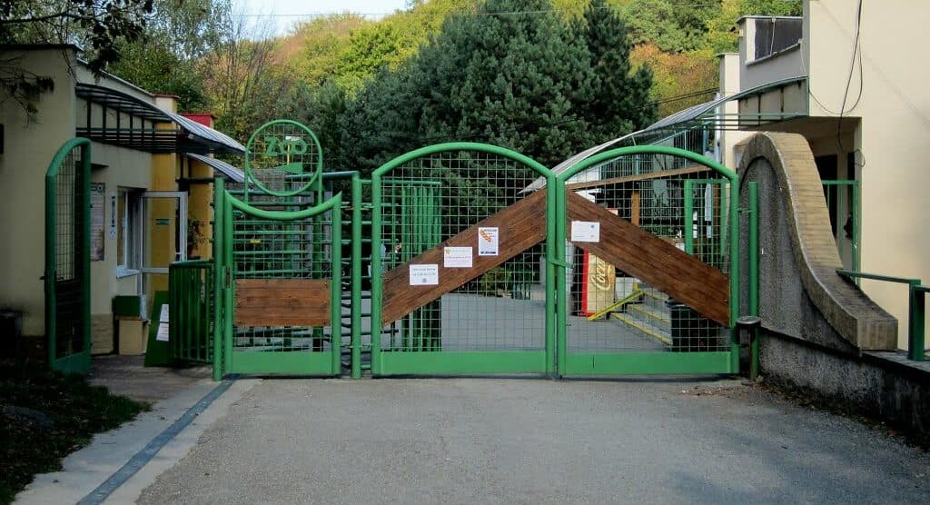 V košickej ZOO sa tešia novému prírastku