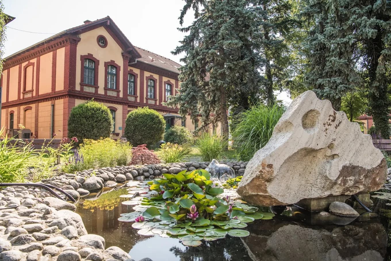Univerzita veterinárskeho lekárstva a farmácie modernizuje svoje budovy 