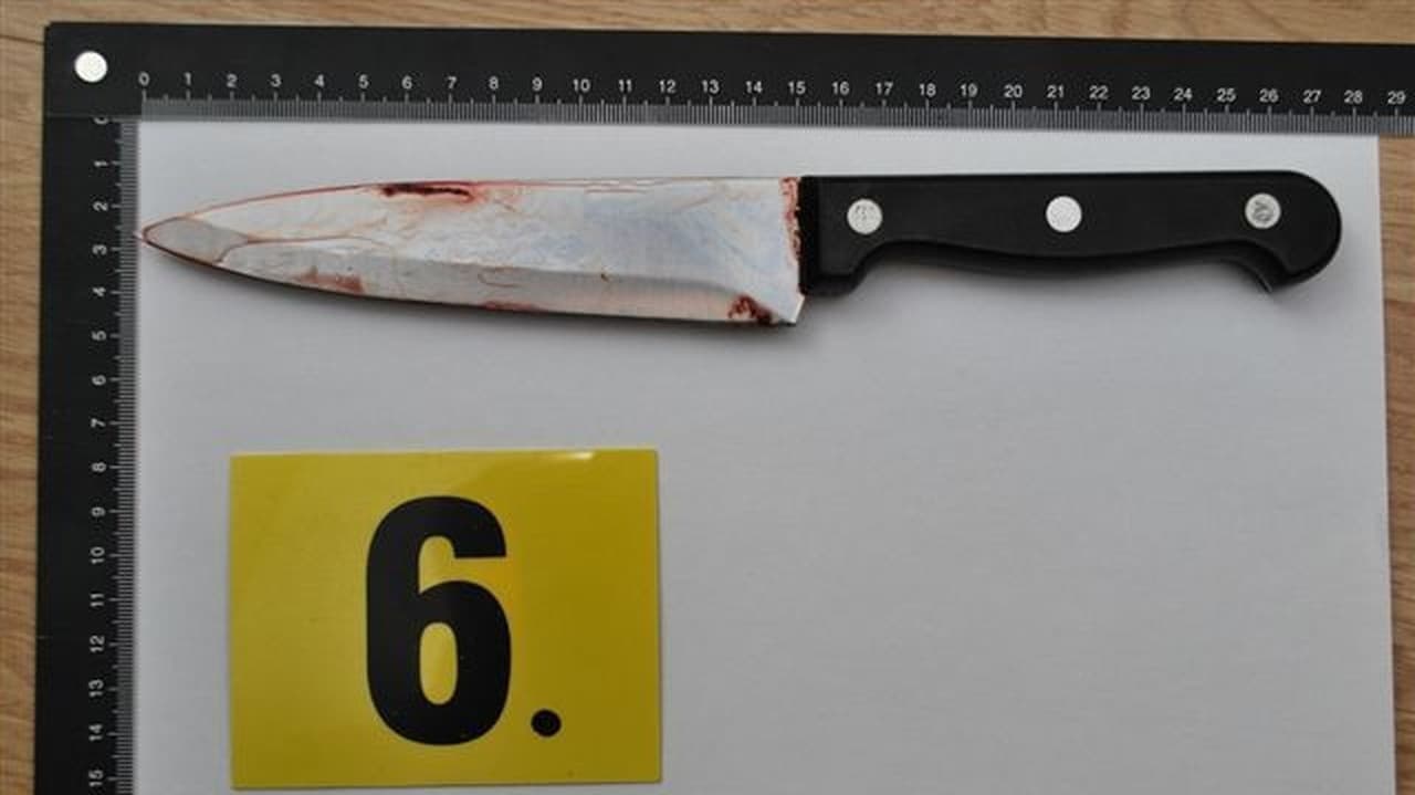 Krajský vyšetrovateľ obvinil 38-ročnú ženu z vraždy svojej dcéry