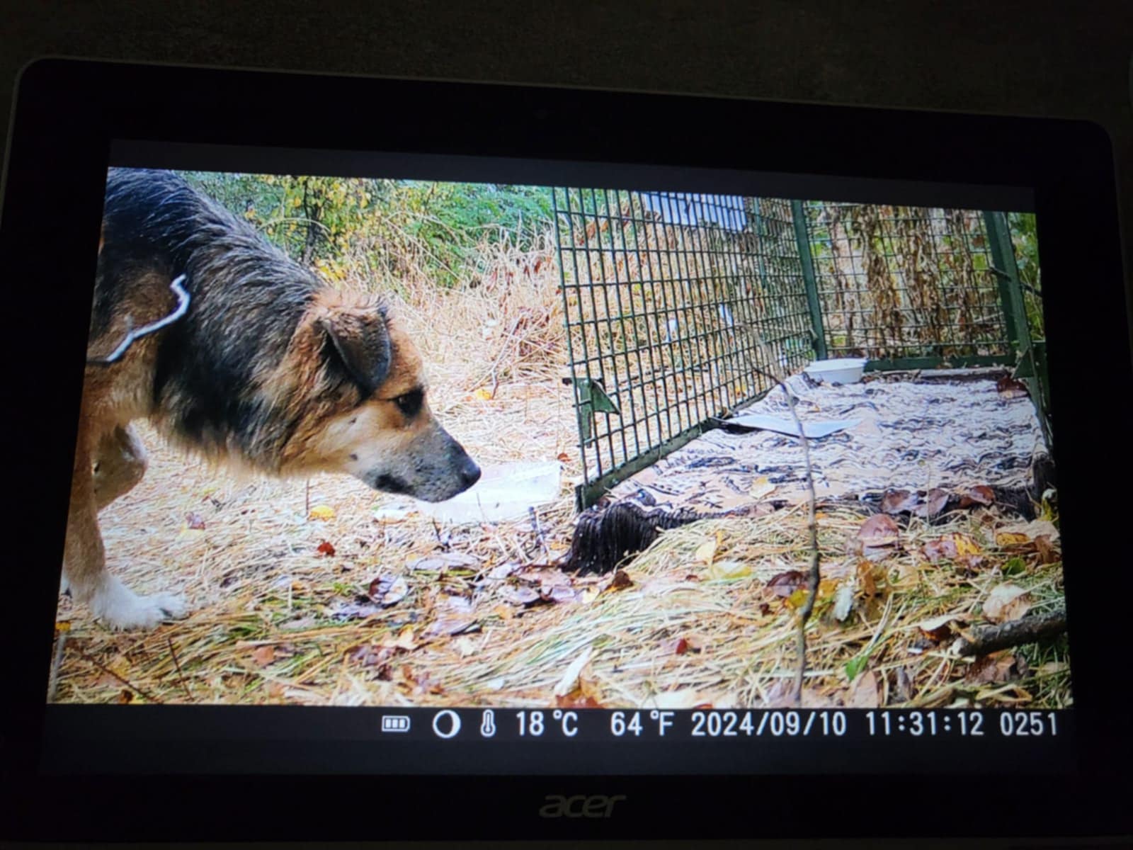 Zdroj: Danka Kmecová