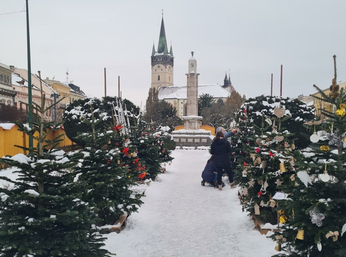 Alej viančoných stromčekov v Prešove vyzdobili školáci (FOTO)
