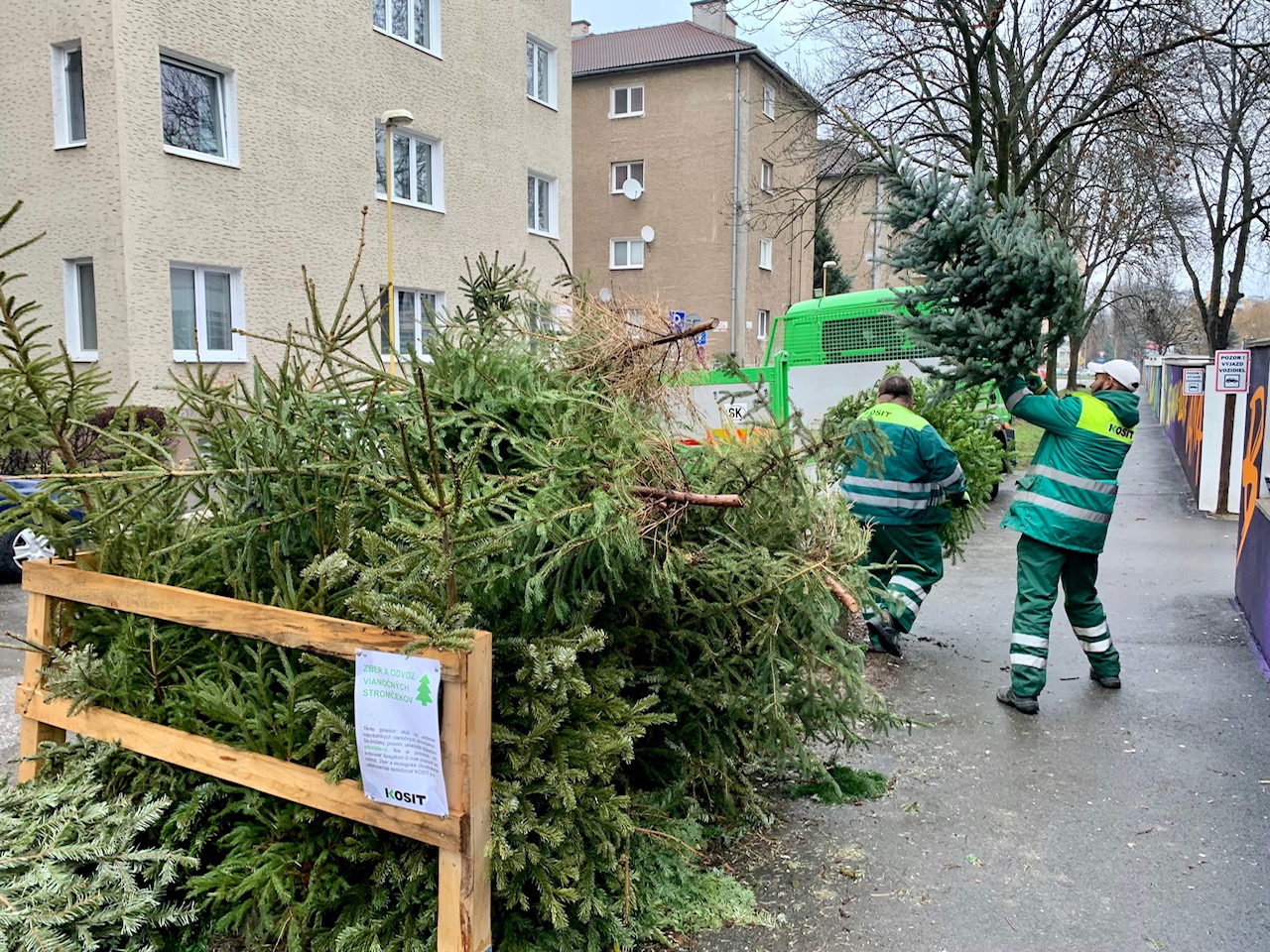 Zber vianočných stromčekov v Košiciach začína už čoskoro! Takýto je postup