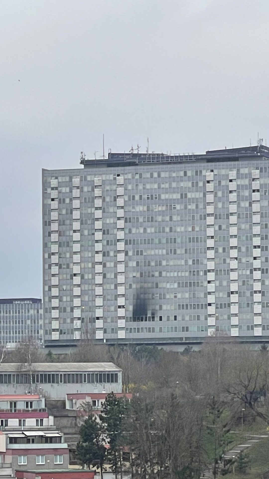 čitateľ