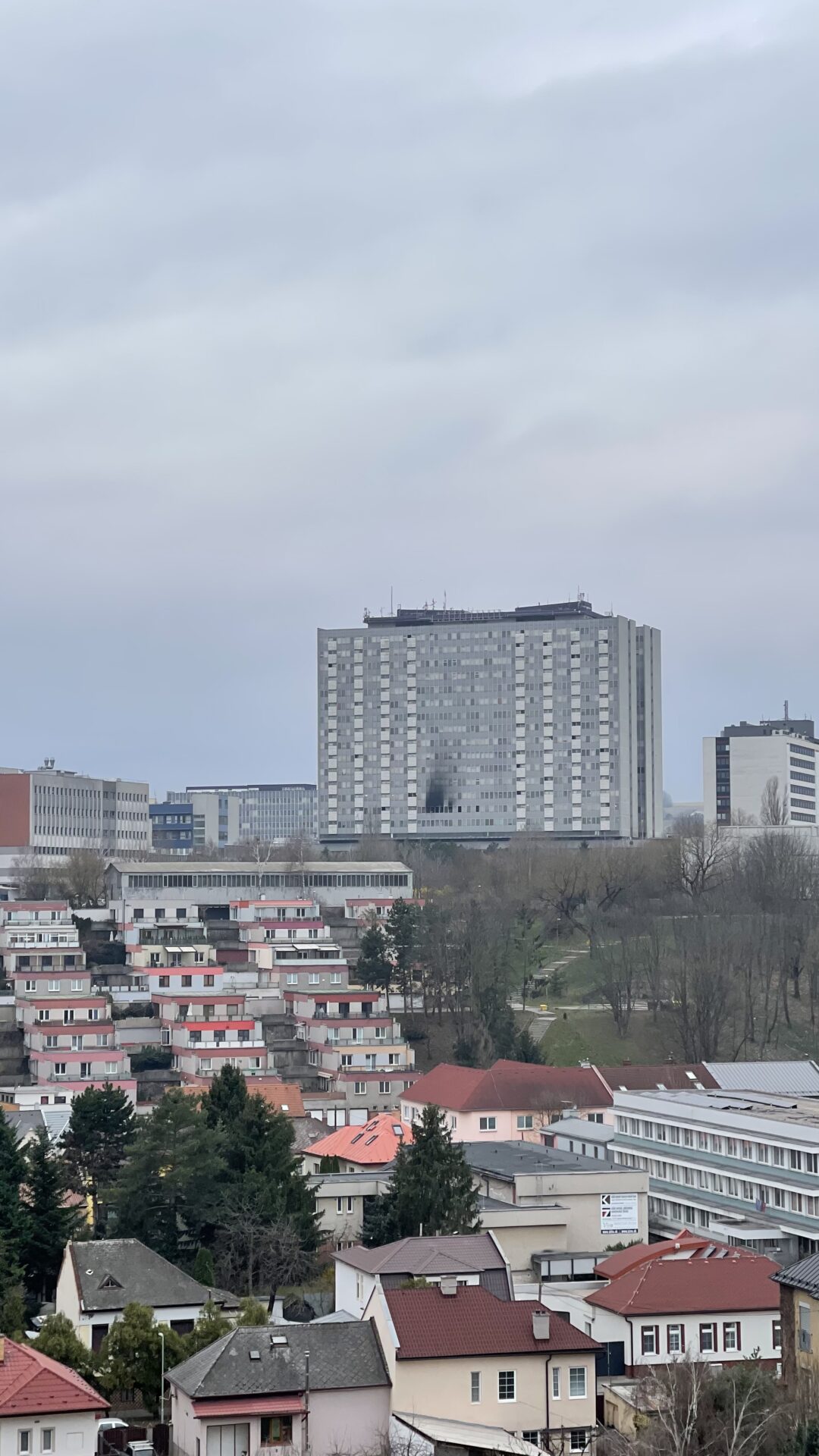 čitateľ
